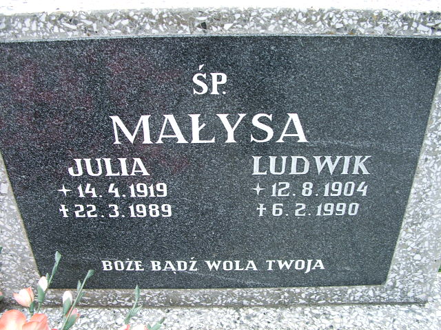 Aurelia Gleic 1942 Goleszów - Grobonet - Wyszukiwarka osób pochowanych