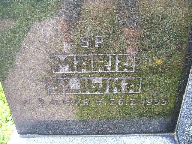 Grób JAN ŚLIWKA