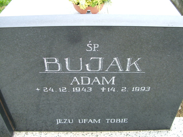 Adam BUJAK 1943 Goleszów - Grobonet - Wyszukiwarka osób pochowanych